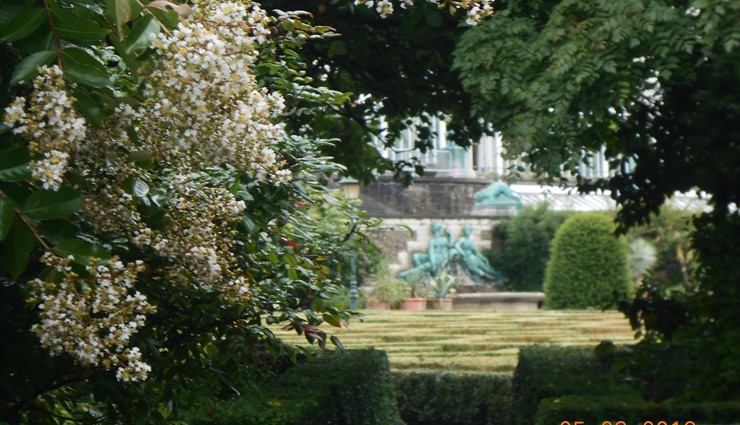 В 1826 году, по ходатайству пяти известных и уважаемых ботаников, сад переехал на новое место