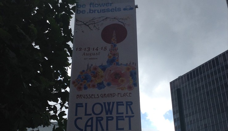 Раз в два года в Брюсселе в августе центральную площадь накрывают цветочным ковром
