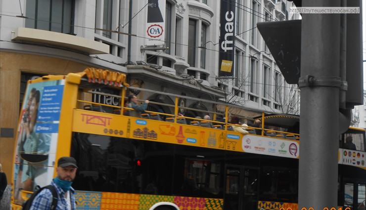 Всего в Порту три линии туристических автобусов: Желтые, Красные и Синие