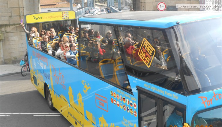 Синие туристические автобусы