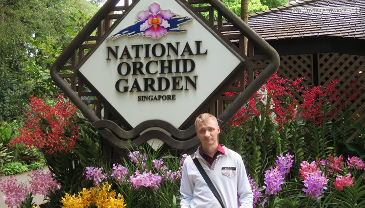 Сад Орхидей