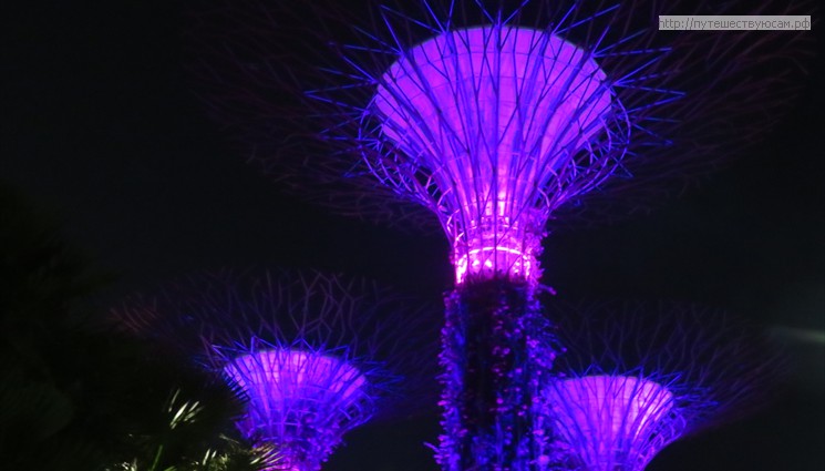 Сингапур: Сады у Залива