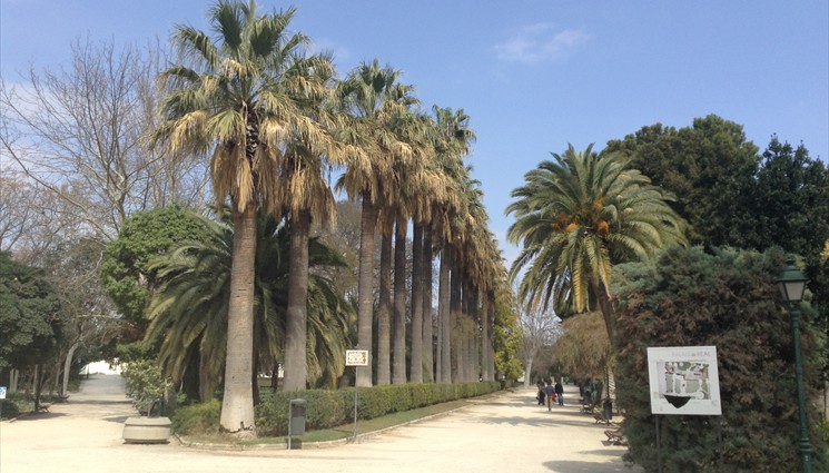 Королевские сады Валенсии представляют собой природный заповедник-парк