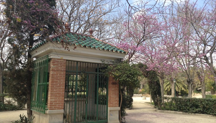 Королевские сады Валенсии (Jardines del Real) были созданы в 1560-м году по инициативе испанского монарха Филиппа II