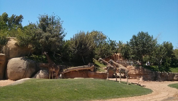 Биопарк в Валенсии