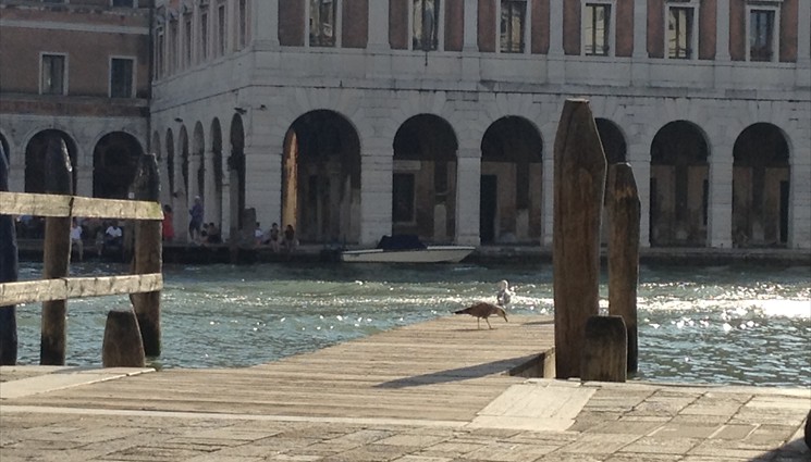 Гуляя по Венеции