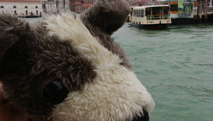Боря на экскурсии в Венеции