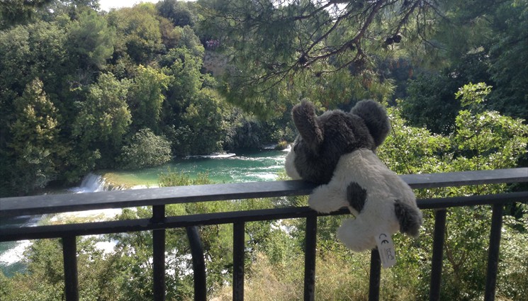 Боря на экскурсии на водопаде КРК (Хорватия)