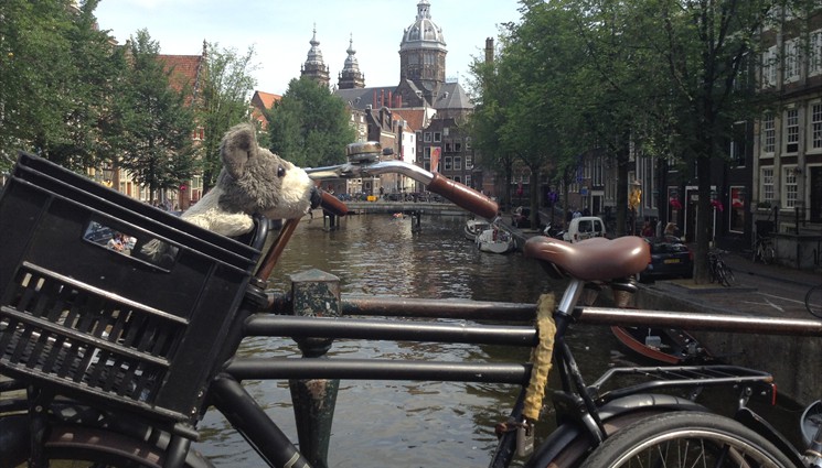 Боря на экскурсии в Амстердаме