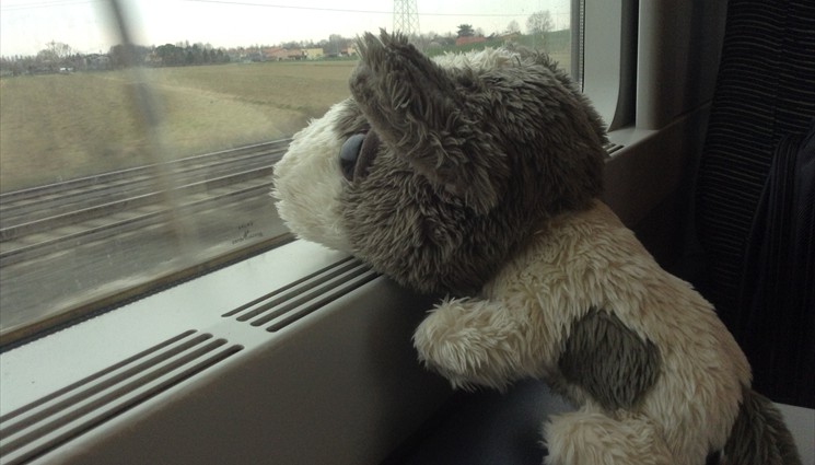 Боря - первый раз на поезде в Италии!
