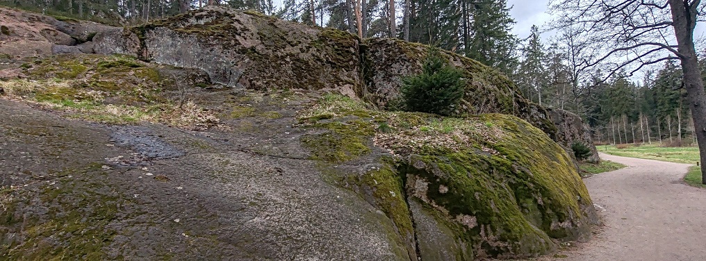 Парк Монрепо