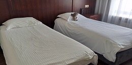 Номер 208