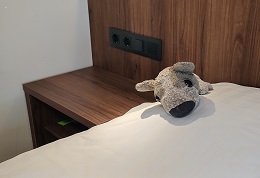 6036