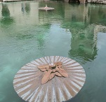 Водный дворец