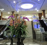 Отель Seri Pacific