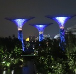 Gardens by the Bay