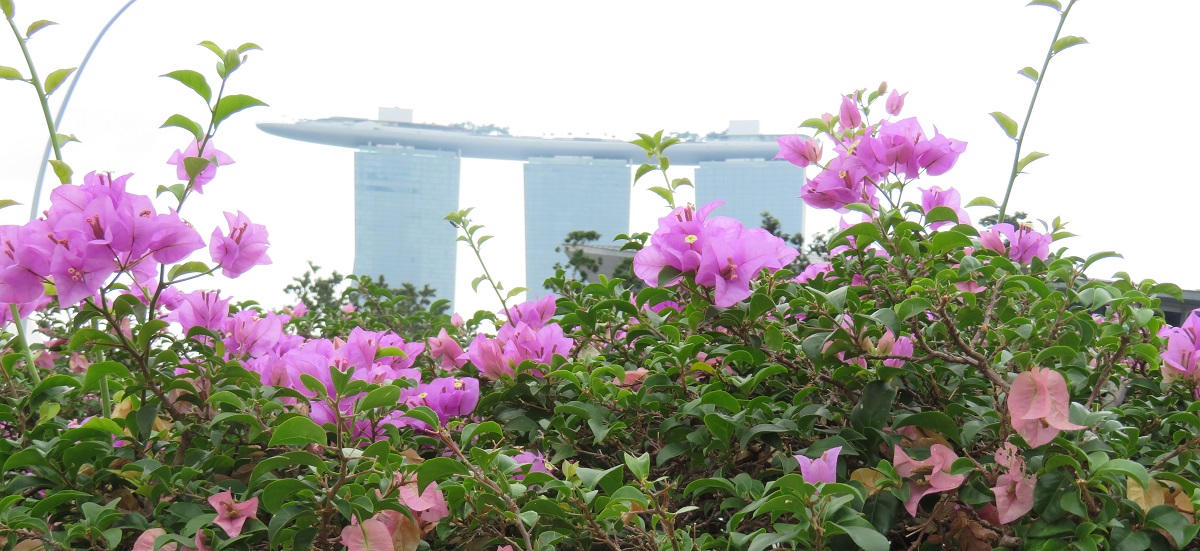 Сингапур, Marina Bay Sands