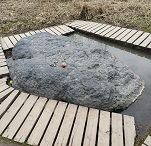 Прогулка