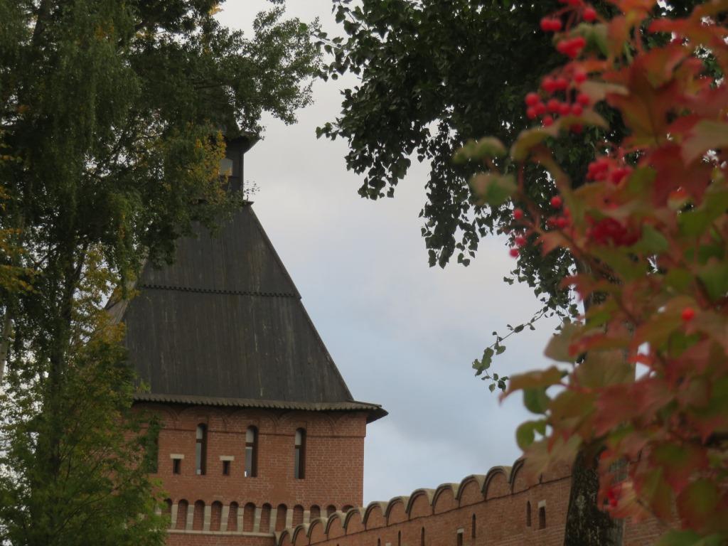 Вечерняя прогулка